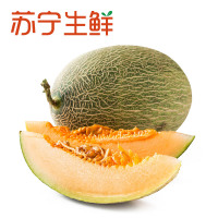 【苏宁生鲜】新疆火焰山蜜瓜1个1.2kg以上/个新鲜水果 哈密瓜
