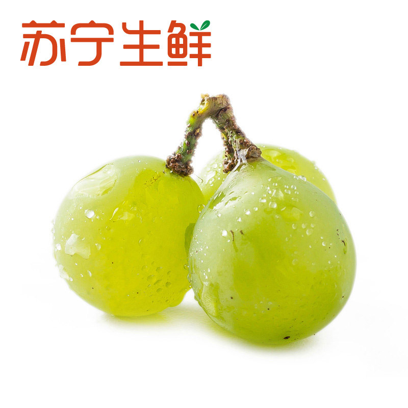 【苏宁生鲜】上海精品醉金香葡萄400g新鲜水果