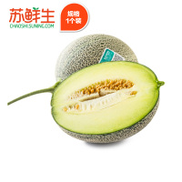 【苏宁生鲜】浙江蓝宝石瓜1个1.2kg以上/个新鲜水果