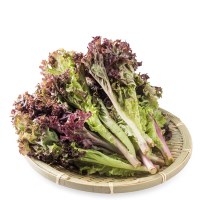 【苏宁生鲜】有机罗莎红生菜250g 蔬菜