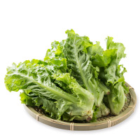 【苏宁生鲜】有机罗莎绿生菜250g 蔬菜