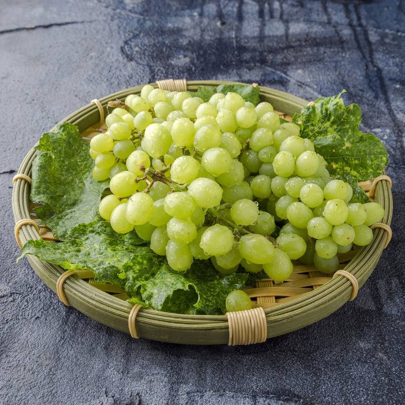【苏宁生鲜】新疆无核白葡萄1kg 新鲜水果 国产