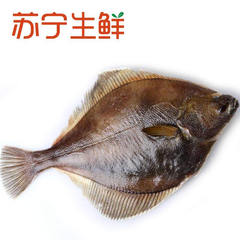 [苏宁生鲜]OceanGala海鲜盛宴速冻黄金鲽鱼1kg