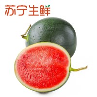 【苏宁生鲜】北京墨童西瓜1个2kg以上/个 新鲜水果