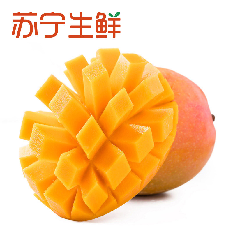 【苏宁生鲜】四川吉禄芒1kg200g以上/个 新鲜水果