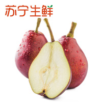 【苏宁生鲜】河南三门峡红啤梨4个150g以上/个 新鲜水果