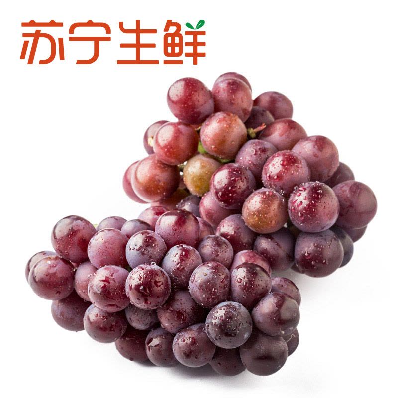 【苏宁生鲜】上海崇明萄葡双拼(夏黑+巨峰)1.5kg图片