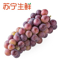 【苏宁生鲜】上海青浦巨玫瑰葡萄1.5kg