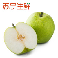 【苏宁生鲜】上海翠冠梨4个270g以上/个 新鲜水果 国产