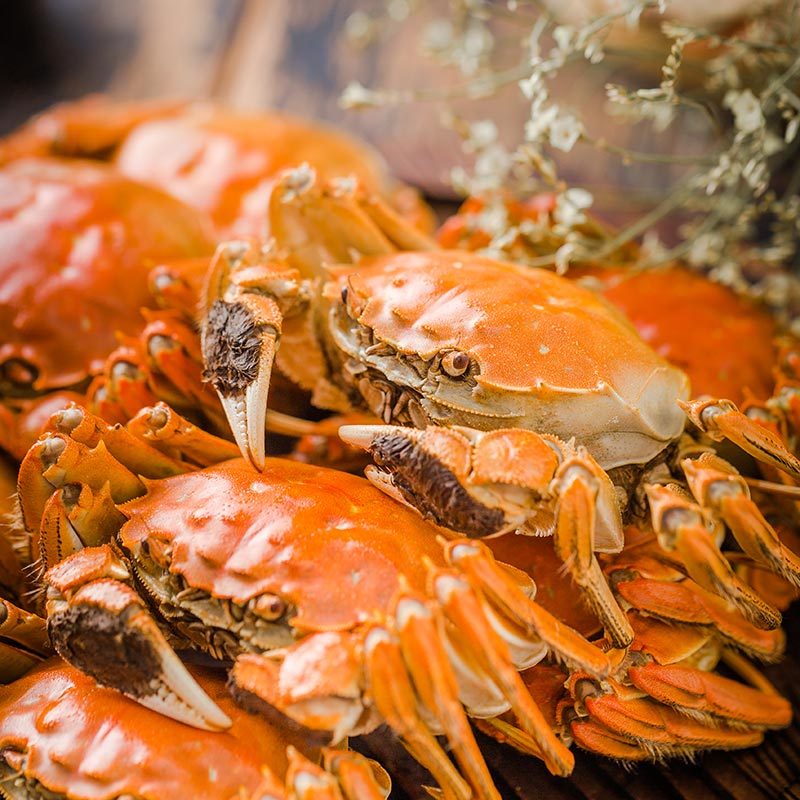 苏宁生鲜湖东蟹牌阳澄湖大闸蟹提货券888型4对公40母30