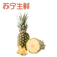 废除--【苏宁生鲜】哥斯达黎加凤梨1个1kg以上/个