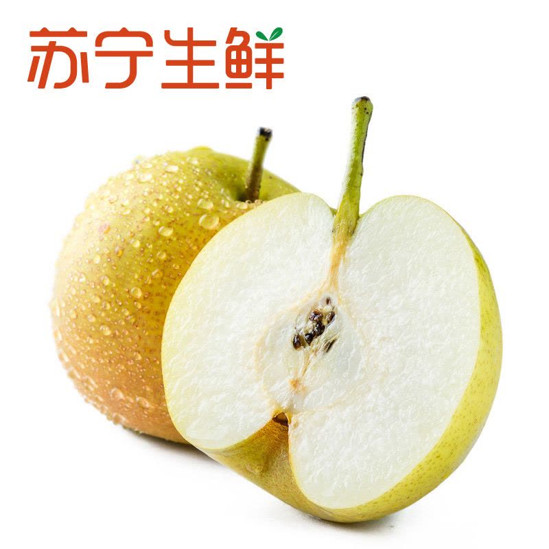 【苏宁生鲜】云南珍珠蜜梨1kg80g以上/个图片