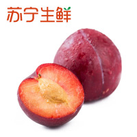 【苏宁生鲜】河北红宝石李1kg