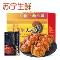 【苏宁生鲜】阳澄绿洲牌阳澄湖大闸蟹提货券888型4对(公4.0母3.0)