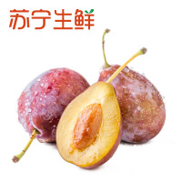 【苏宁生鲜】新疆西梅1盒(500g以上/盒)
