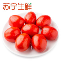 【苏宁生鲜】葛鲜生葛洲坝西域原种番茄500g