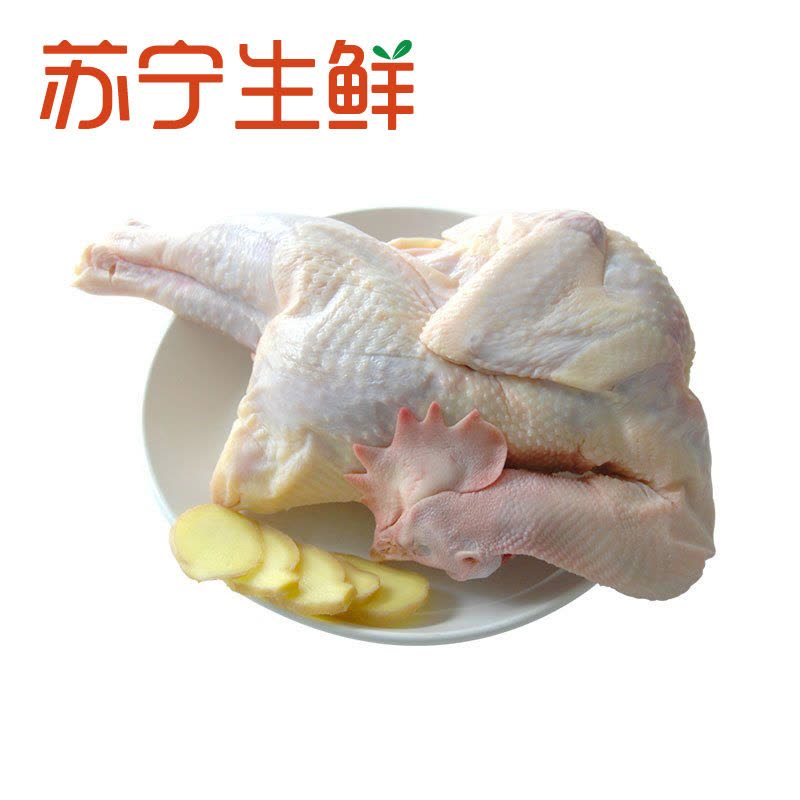 [苏宁生鲜]CP正大老母鸡1.5kg图片