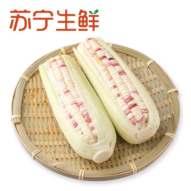 【苏宁生鲜】精选花糯玉米450g 禽蛋蔬菜 国产 非有机