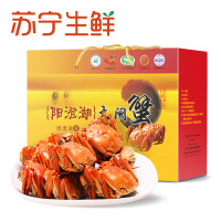 【苏宁生鲜】阳澄绿洲牌阳澄湖大闸蟹4对(公3.5两,母2.5两)