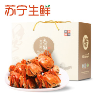 【苏宁生鲜】蟹乡渔舍牌阳澄湖大闸蟹4对(公3.0两,母2.0两)