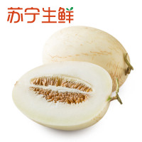 【苏宁生鲜】新疆18°波斯蜜瓜1个1.2kg以上/个 新鲜水果 国产