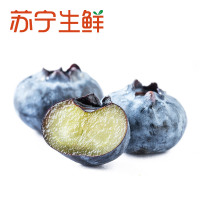 【苏宁生鲜】秘鲁蓝莓1盒(约125g/盒) 新鲜水果 进口