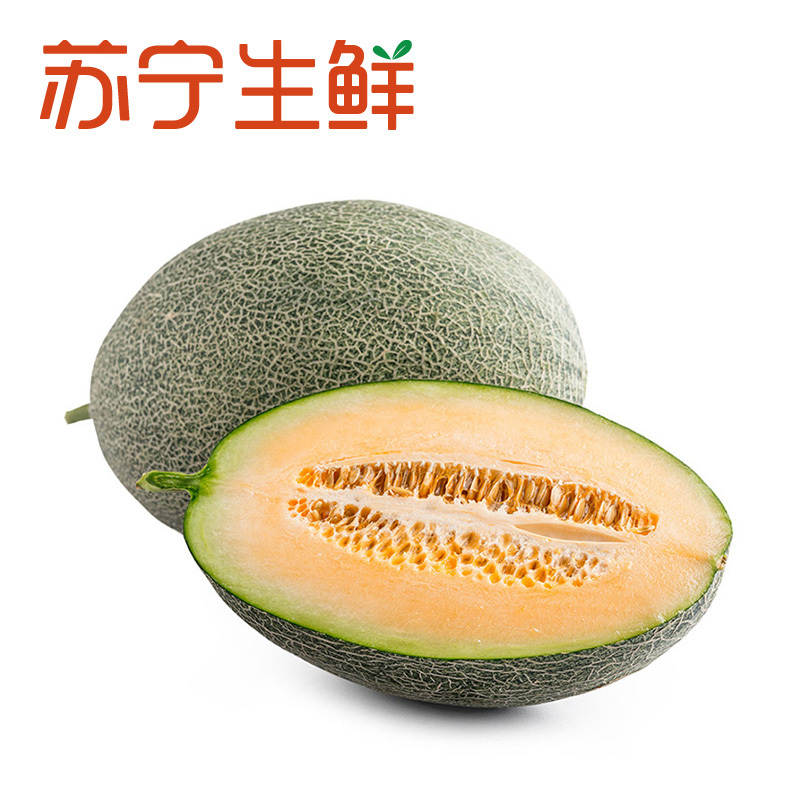 【苏宁生鲜】山东西州蜜瓜2个1.9kg以上/个 新鲜水果