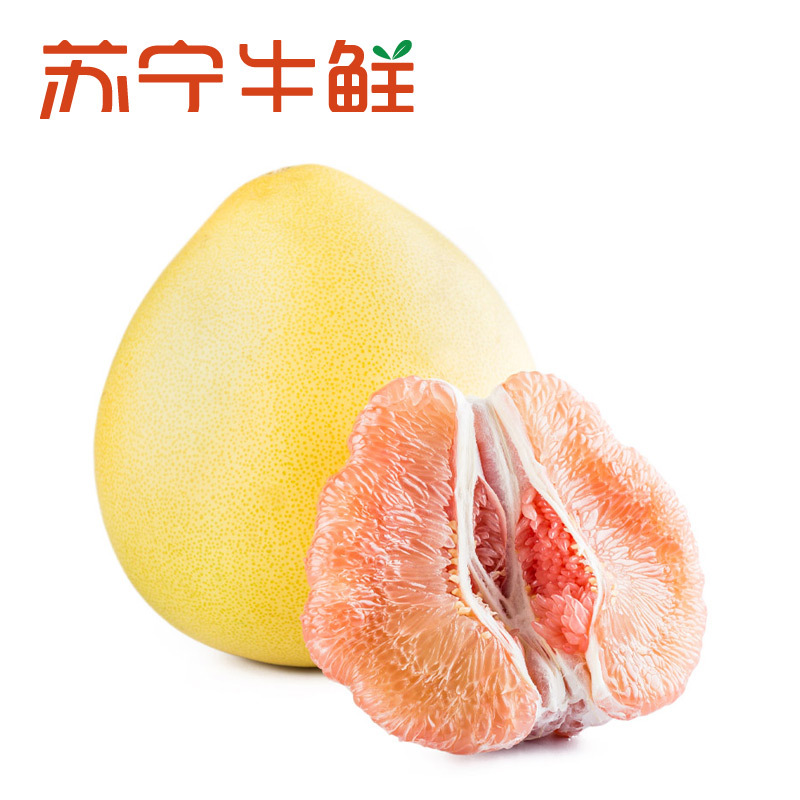 【苏宁生鲜】透心甜福建平和红心蜜柚1个1.5-2kg/个 柚子 新鲜水果
