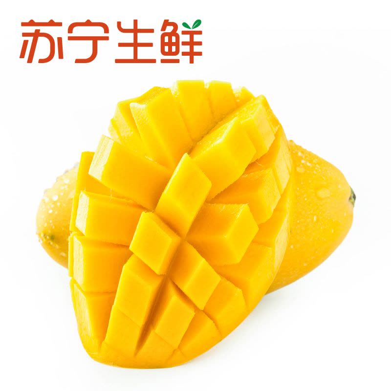 【苏宁生鲜】广西高乐蜜甜芒果2.5kg原箱200g以上/个图片