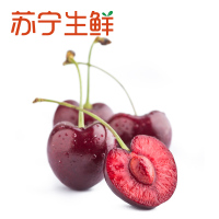【苏宁生鲜】智利红樱桃1磅果径24-26mm 进口车厘子约454g 新鲜水果