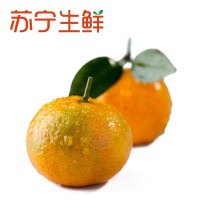 【苏宁生鲜】广西沙糖桔1kg 桔子 新鲜水果
