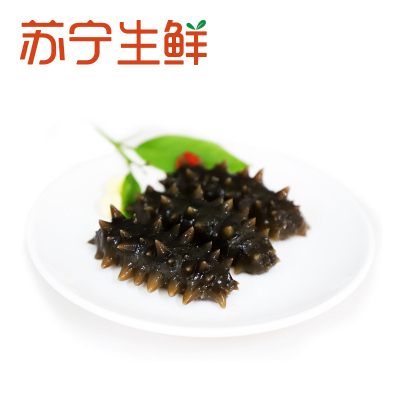 [苏宁生鲜]晓芹冷冻即食海参400g(10-13头)