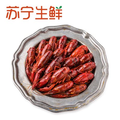 [苏宁生鲜]GUOLIAN国联麻辣味小龙虾1.8kg