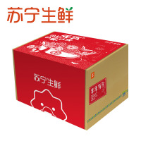 【苏宁生鲜】年年有余精品礼盒1.25kg 虾仁 牛腩 鲳鱼 鱿鱼须 年货 馈赠佳品 精选肉类 海鲜水产