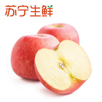 [苏宁生鲜]山东烟台红富士苹果3个果径75mm以上