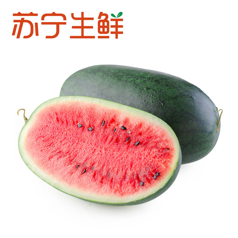 【苏宁生鲜】广西黑美人西瓜1个2.5kg以上/个
