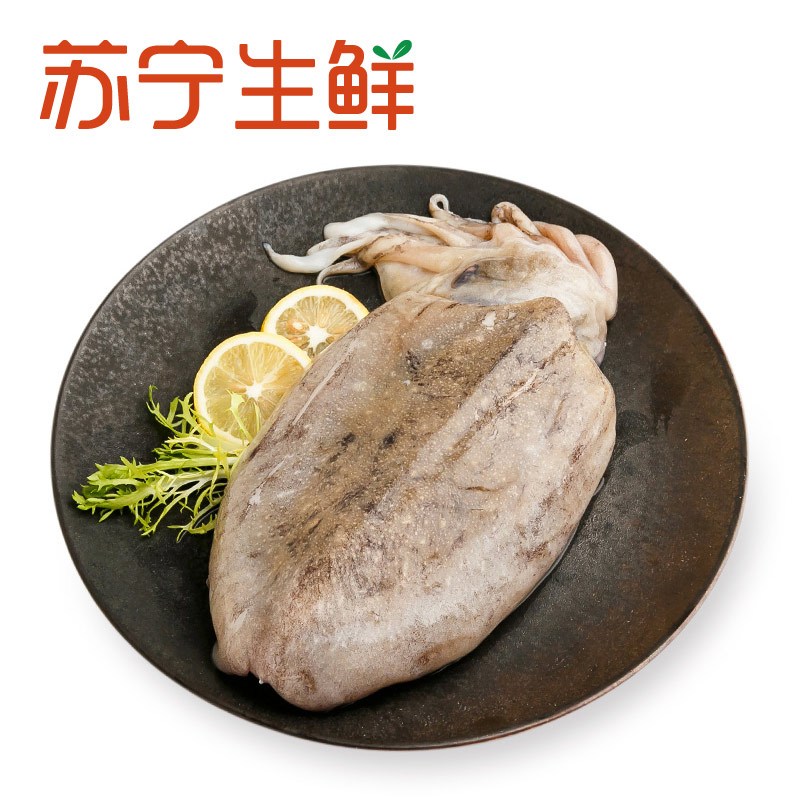 【苏宁生鲜】原膳东海墨鱼(1条装)400-500g