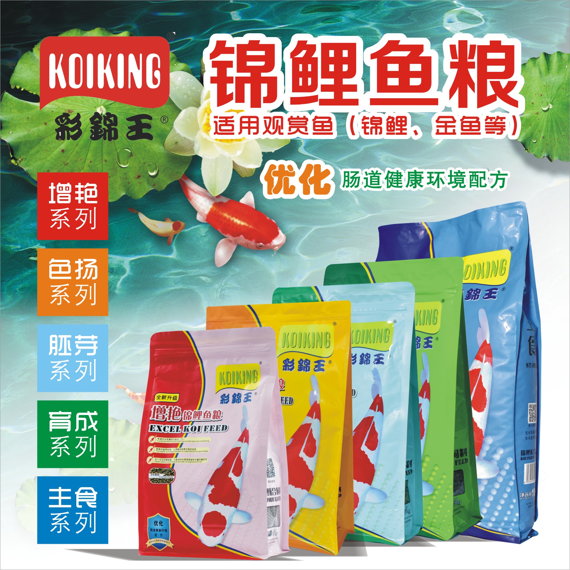 彩锦王(KOIKING)鱼粮 锦鲤鱼食 育成配方鱼饲料 小颗粒上浮型1KG