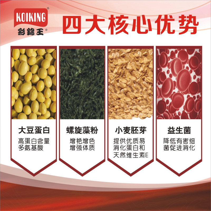 彩锦王(KOIKING)鱼粮 锦鲤鱼饲料 均衡配方 鱼饲料中颗粒(5.0mm)上浮型5KG