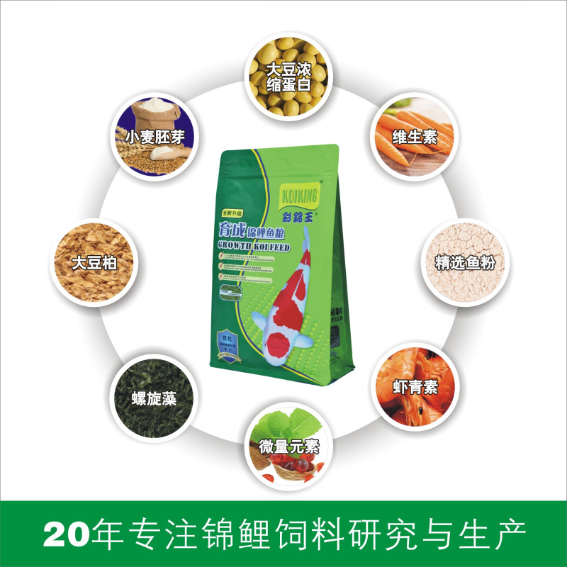 彩锦王(KOIKING)鱼粮 锦鲤鱼饲料 育成配方 营养全面 基本日粮 中颗粒(5.0mm)上浮型5KG