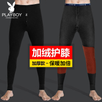 花花公子保暖裤男加绒加厚羊毛护膝贴片保暖打底线裤毛裤秋冬8517