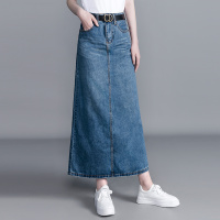 丝柏舍2020春季女时尚韩版修身显瘦气质长款半身裙S01D0023B