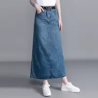 丝柏舍2020春季女时尚韩版修身显瘦气质长款半身裙S01D0023B