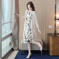 丝柏舍春装女2020纯色简约开衫内搭印花连衣裙套装S91B0214N