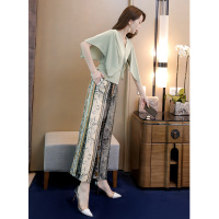 丝柏舍套装女2020纯色V领上衣搭印花阔腿裤两件套S92R0334N
