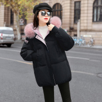 丝柏舍2020冬季女装韩版简约显瘦保暖配毛领棉衣S94B6321H