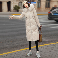 丝柏舍2020冬季女装时尚纯色长袖宽松显瘦羽绒服S94B6508Y