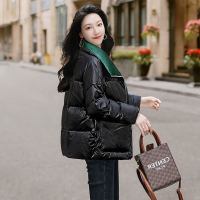 丝柏舍2020冬季女装时尚加厚保暖亮面立领短款宽松显瘦羽绒服S04B5206Y