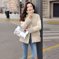 丝柏舍2020冬季女装时尚纯色长袖翻领拼接常规款保暖羽绒服S04R6435Y