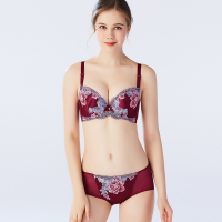 新款水中花刺绣调整聚拢型文胸收副乳内衣套装【文胸+内裤】